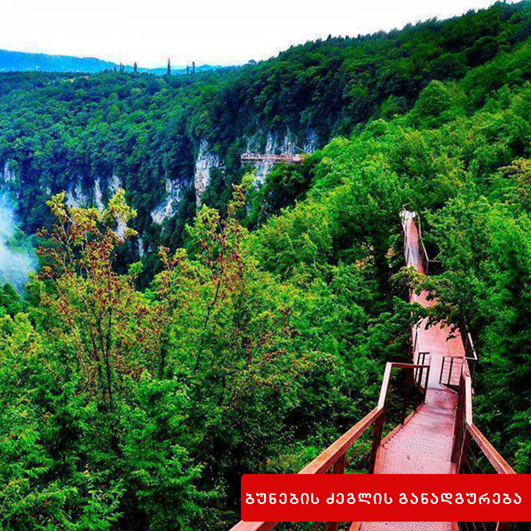 ბუნების ძეგლის დაზიანება ან განადგურება