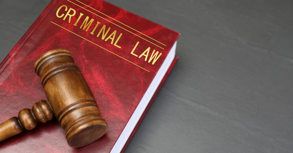 პირადი ცხოვრების ამსახველი ინფორმაცია VS საიდუმლო