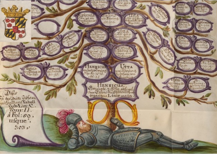 საქართველოს მოქალაქეები ისტორიული გვარის დაბრუნებას შეძლებენ