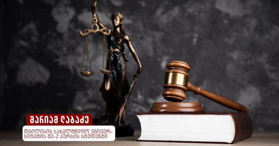 გამოხატვის თავისუფლებისა და კერძო პირის ღირსების ურთიერთშებოჭვა 
